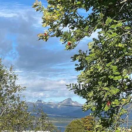 Great Location, Close To Telegrafbukta! Tromsø